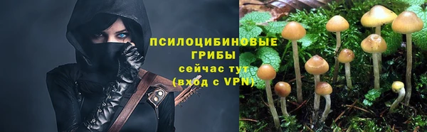 прущая мука Верхний Тагил