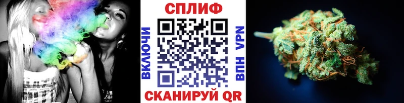 купить закладку  Пятигорск  МЕГА ТОР  Каннабис ГИДРОПОН 